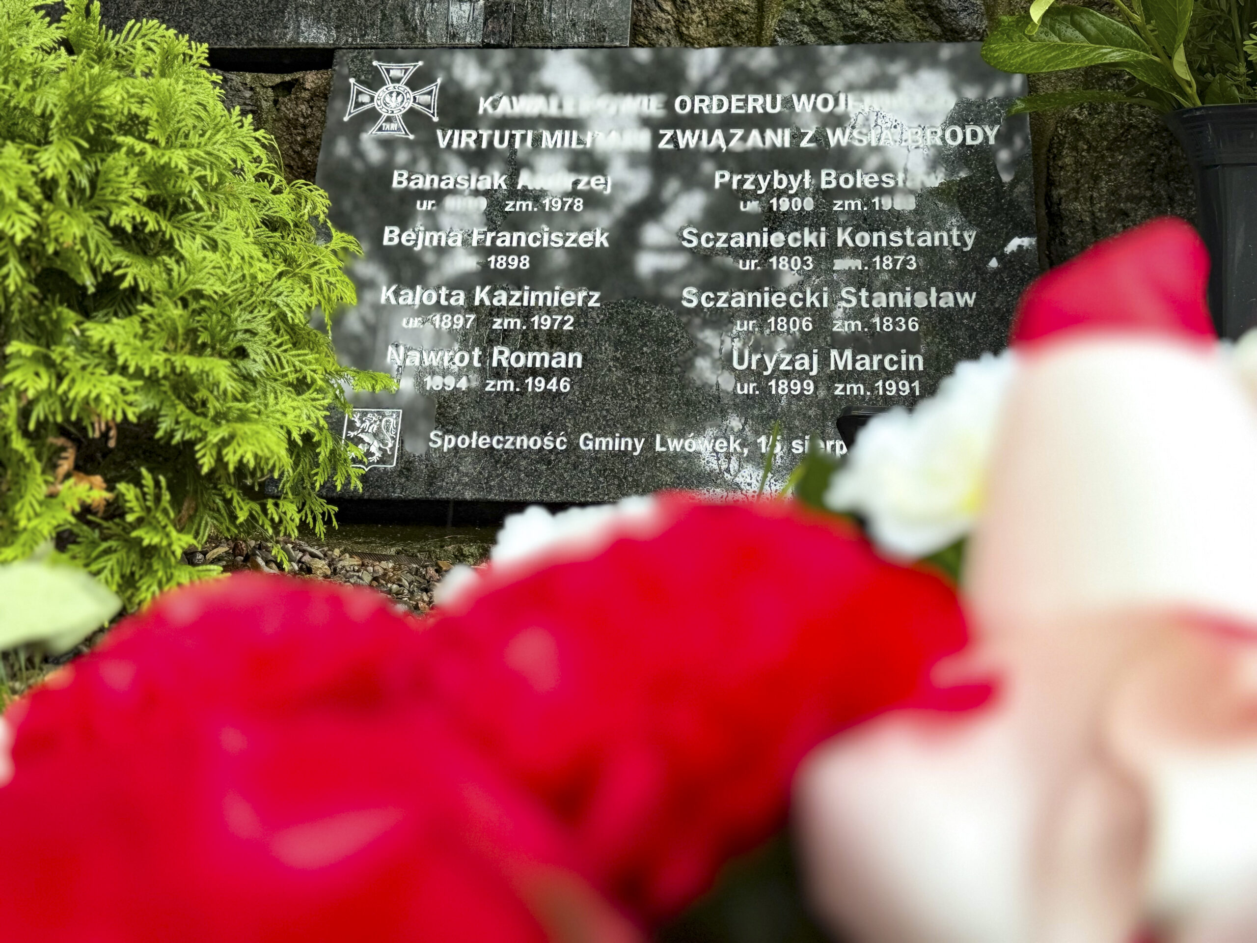 Zdjęcie 16.08.2026, 12 36 35
